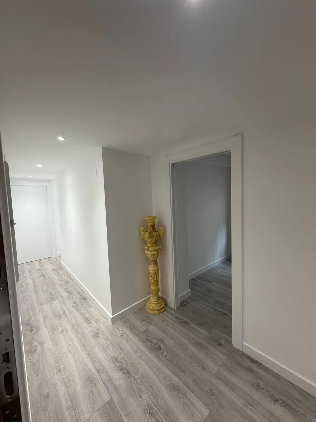 Pasillo con suelo de madera y jarrón decorativo junto a una puerta abierta
